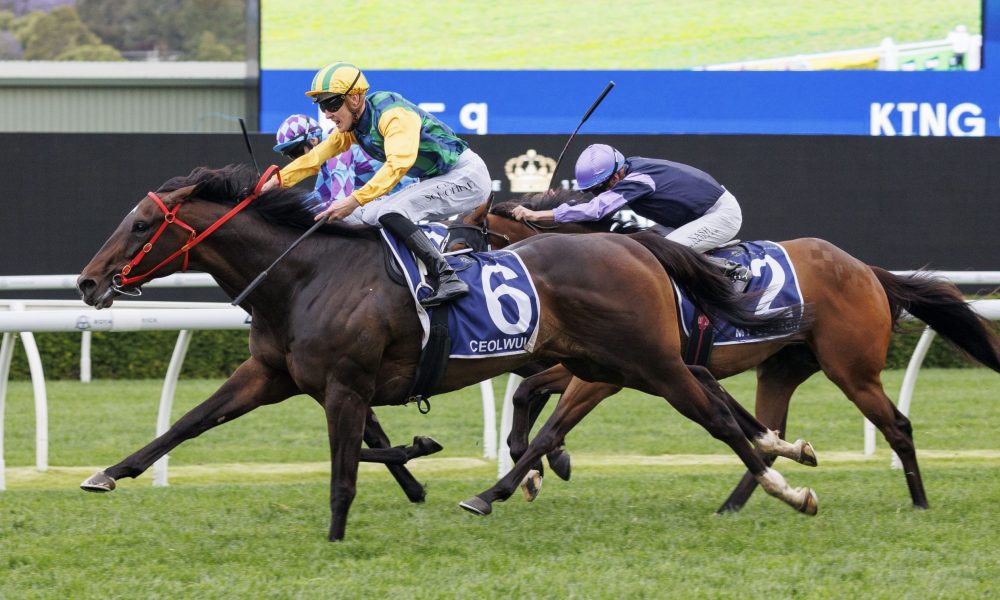 长处在于灵 长处在于灵