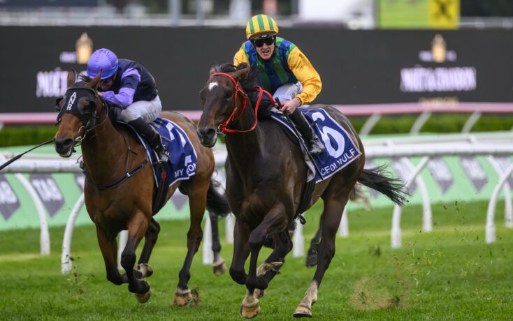 伴随着多达 伴随着多达