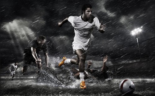 专业工作者 专业工作者