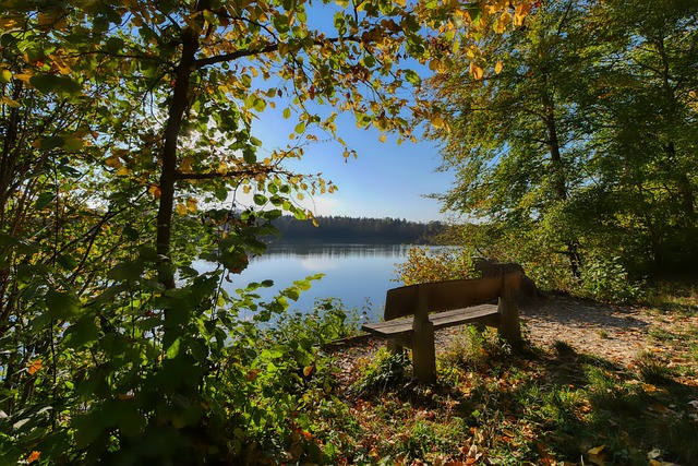 充满了争议 充满了争议