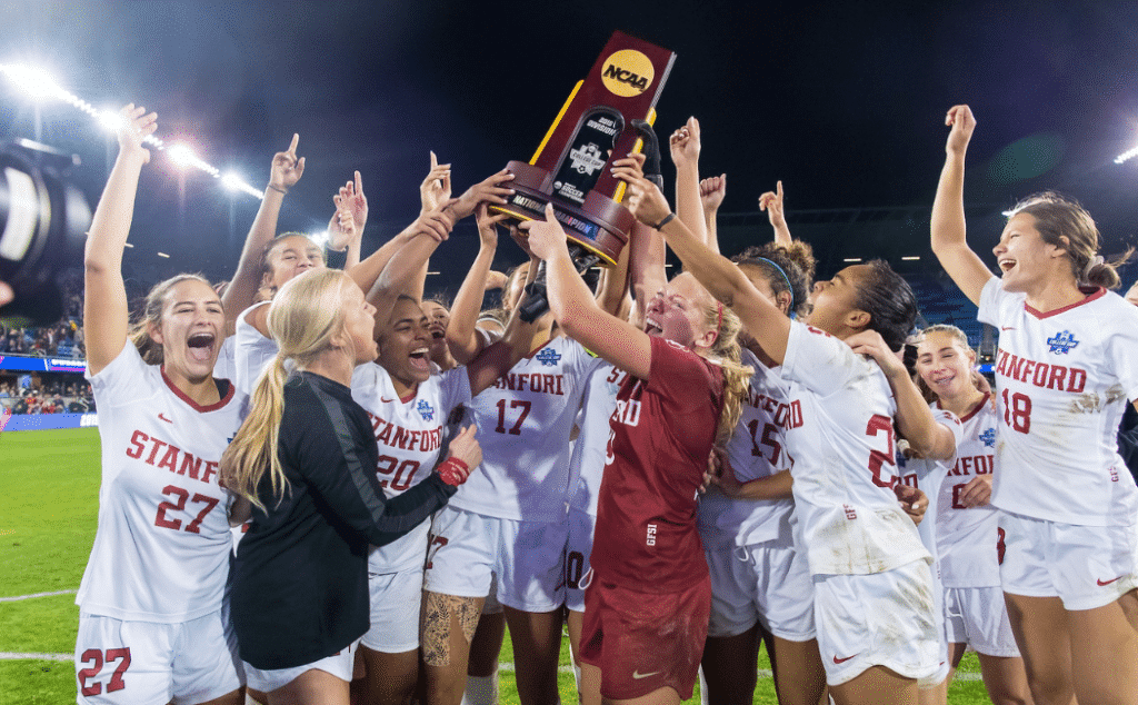 受到的虐待 受到的虐待