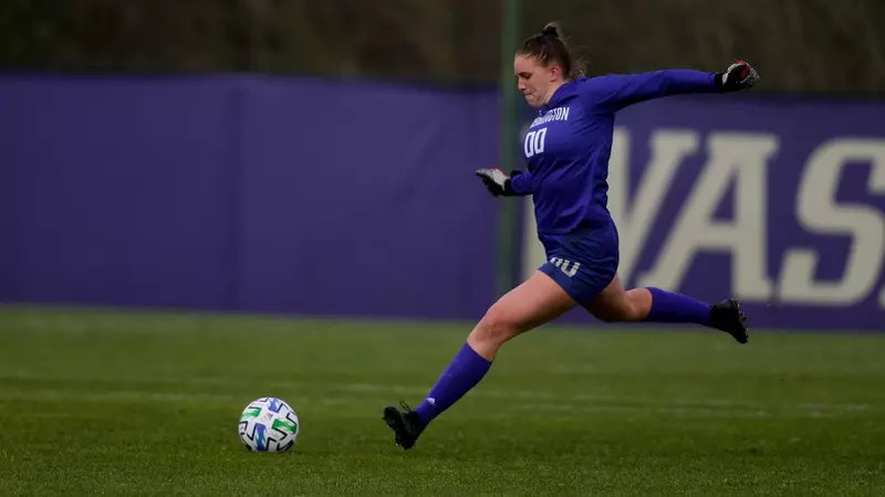 也不例外 也不例外